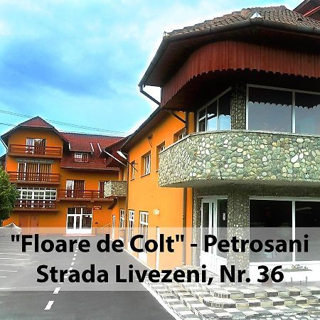 Floare De Colt Petrosani Hotel Ngoại thất bức ảnh