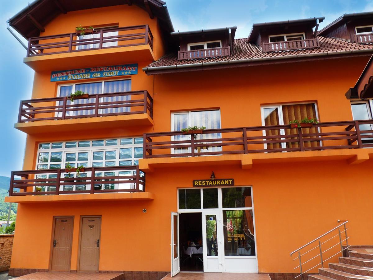 Floare De Colt Petrosani Hotel Ngoại thất bức ảnh