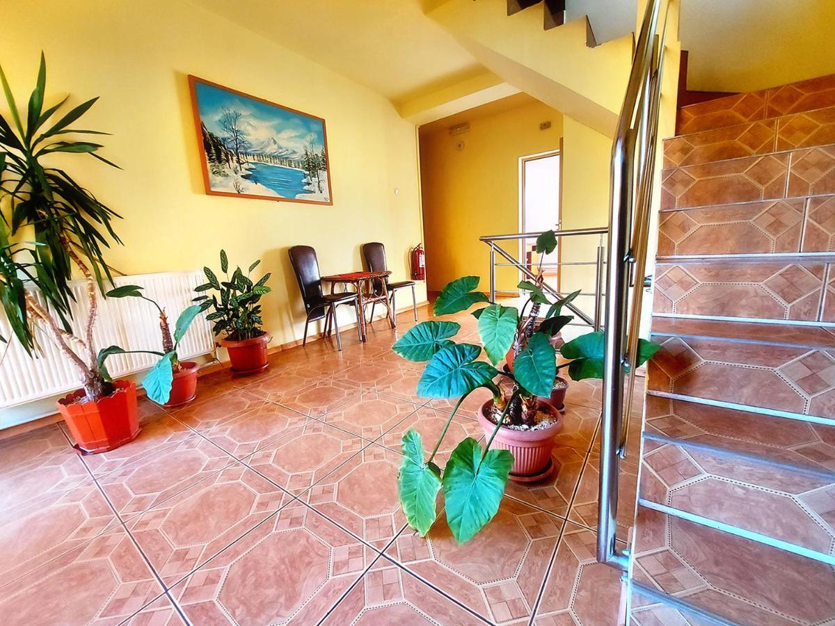 Floare De Colt Petrosani Hotel Ngoại thất bức ảnh